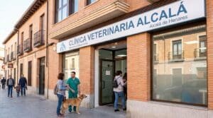 Clínica veterinaria en Alcalá de Henares: guía de servicios